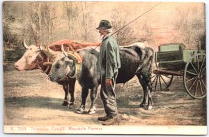 VINTAGE POSTCARD PRIMITIVE CATSKILL MOUNTAIN FARMER POSTED 1908 LANESVILLE N.Y