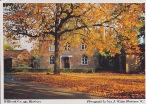 Millbrook Cottage Blewbury Oxfordshire Womens Institute Postcard