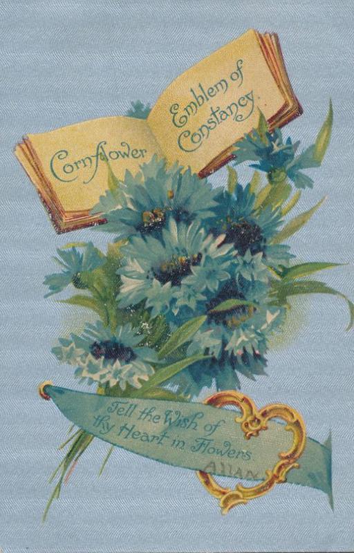 Cornflower Emblem of Constancy Wish of Thy Heart in Flowers - B. B. London - DB