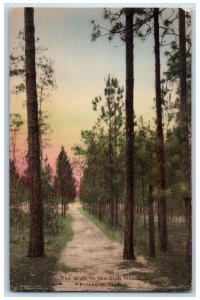 c1920's The Walk to the Club House Pinehurst NC Handcolored Postcard