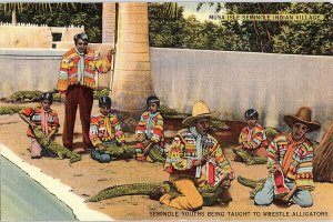 Postcard NATIVE INDIAN SCENE Miami Florida FL AI1161