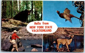 Postcard - Hello from New York State Vacationland - New York