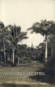 Palms, Botanical Gardens Singapore Unused 