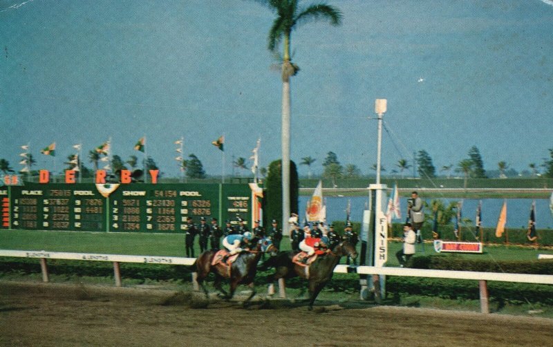 Vintage Postcard 1958 Florida Derby Finish Gulfstream Park Tim Tam Lincoln Road