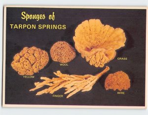 Postcard Sponges of Tarpon Springs, Florida