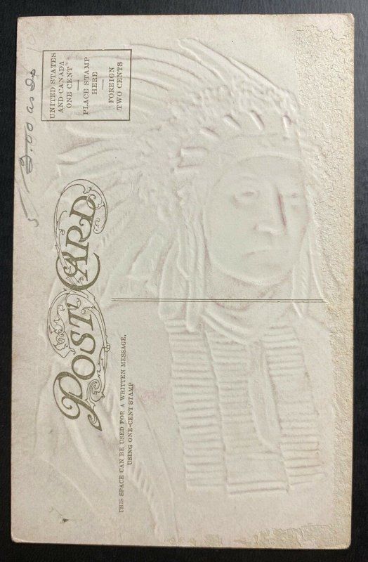 Mint USA Color Picture Postcard Native American Indian Chief Red Cloud 