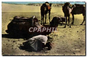 Morocco Old Postcard Scenes et Types-The Prayer in Camel Camel