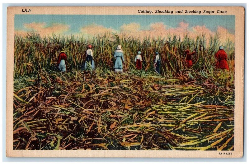 1943 Cutting Shocking and Stocking Sugar Cane Shreveport LA Posted Postcard