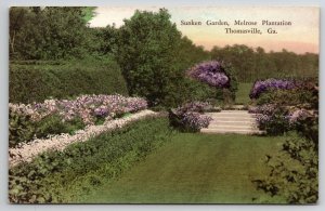 Thomasville GA Sunken Garden Melrose Plantation Hand Colored Postcard C31