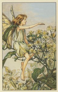 The Travellers Joy Flower Fairy Old Book Stunning Postcard