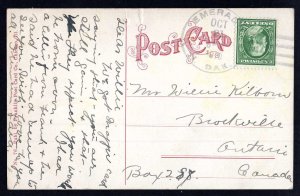 Illinois CHICAGO Seal Pond, Lincoln Park pm1910 - DB