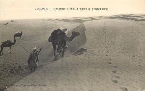 Africa - Tunisia - TOZEUR - ( Tunisie ) Afrique camels desert grand Erg dunes