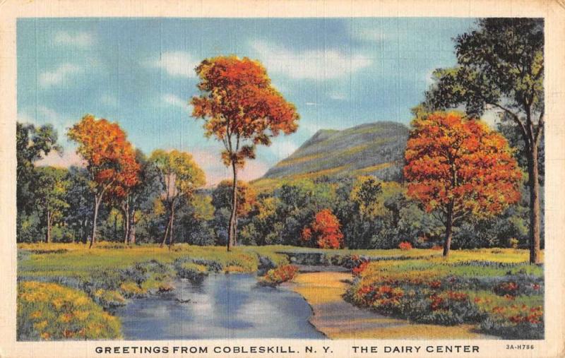 Cobleskill New York Scenic Waterfront Greeting Antique Postcard K101728