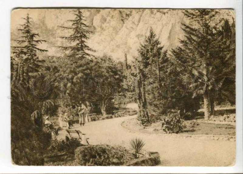 402833 RUSSIA  SIMEIZ park Vintage GIZ postcard