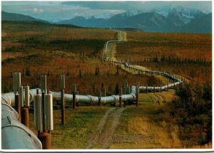 Alaska The World Famous Pipeline