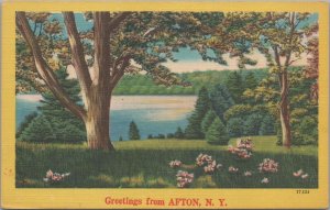 Postcard Greetings from Aston NY