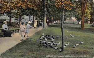 Feeding the Pigeons Capitol Park Harrisburg Pennsylvania 1915 postcard