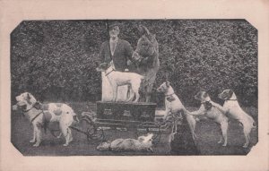 Watson's Fox Terriers Vintage Circus Theatre Vaudeville Dog Act Postcard