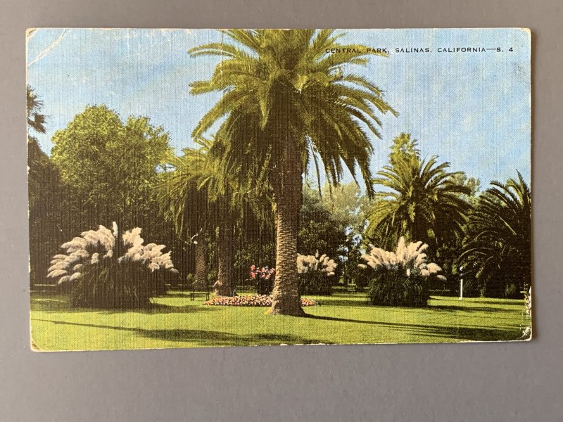 Central Park Salinas CA Linen Postcard A11508091155