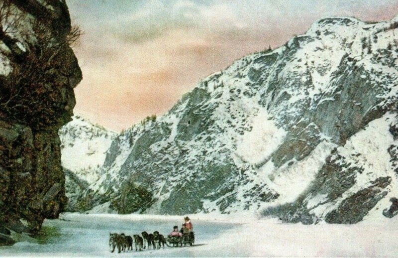 Dog Sled Team Keystone Canyon Valdez Alaska Glacier Vintage Postcard P94 