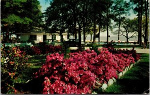 Sea Gull Tourist Court West Beach Biloxi Mississippi Postcard PC34