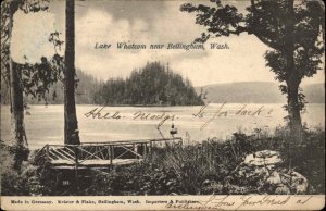 Bellingham Washington WA Lake Whatcom Bird's Eye View c1910 Vintage Postcard