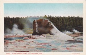 Giant Geyser Cone Yellowstone National Park