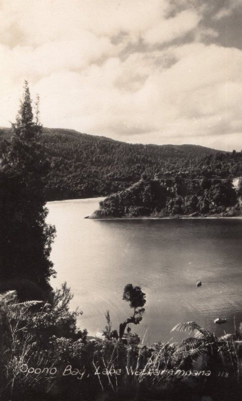 Opono Bay Lake Waikaremoana New Zealand Plain Back Postcard Photo