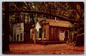 Santa Cruz County California~Old Resort Bldgs @ Big Trees Park~Vintage Postcard