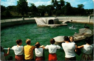 Sea Lion Pool Swope Park Zoo Kansas City MO Vintage Postcard V46