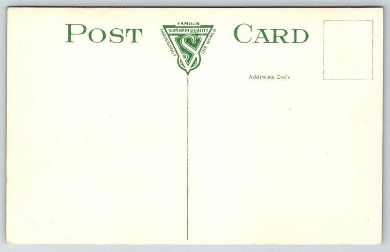 Albany  New York  Capitol Building Approach    Postcard   c1907