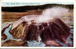 Sponge Geyser Yellowstone National Park WB Postcard PM Cancel WOB Note 1c Stamp 