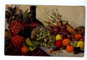 499255 HENNINGER Fruits from our colonies Germany STILL LIFE Vintage postcard