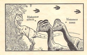 Dilophasaurus Pre Historic Unused 