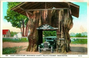 Vtg Postcard Giant Cedar Stump Snohomish County Washington to Burnside CT Unused