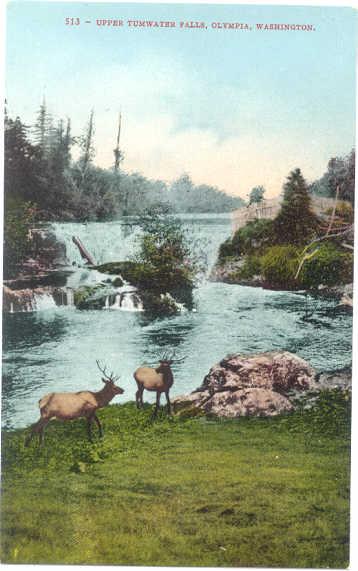 Upper Tumwater Falls, Olympia, Washington, WA, Divided Back