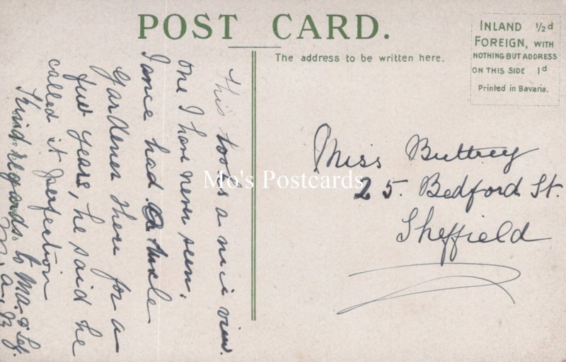 Genealogy Postcard - Buttrey, 25 Bedford Street, Sheffield, Yorkshire GL4127