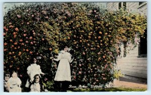 WILLOWS, CA California   People POSED in Front of ROSE ARBOR  c1910s Postcard