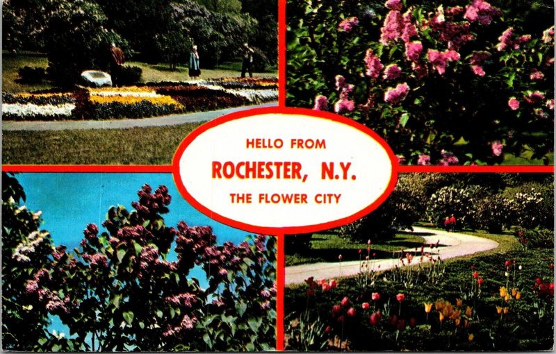 Hello Rochester New York Flower City Multi View Lilacs Chrome Postcard 