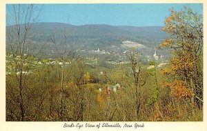 Birds Eye View Ellenville, New York, USA  