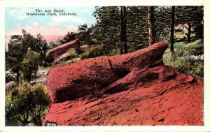 Colorado Mushroom Park The Ant Eater