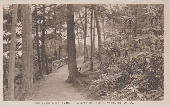 West Virginia White Sulphur Springs Sulphur Hill Park Albertype