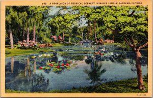 Florida Vero Beach McKee Jungle Gardens Tropical Scenery Curteich