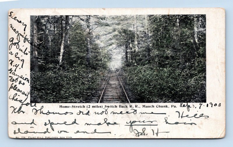 Home Stretch Switch Back Railway Mauch Chunk Pennsylvania PA UDB Postcard N12