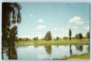 Prescott Arizona AZ Postcard Antelope Hills Golf Course Scene c1960's Vintage