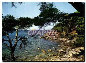 Postcard Modern Light and Beauty of the French Riviera the Quiet Water Creeks