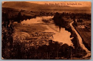 Postcard Springfield OR c1911 The River Bank Drive Old Houses Farms