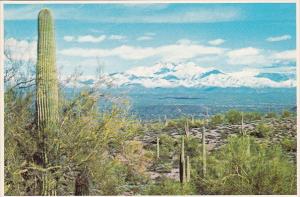 Arizona Phoenix Snow Covered Four Peaks