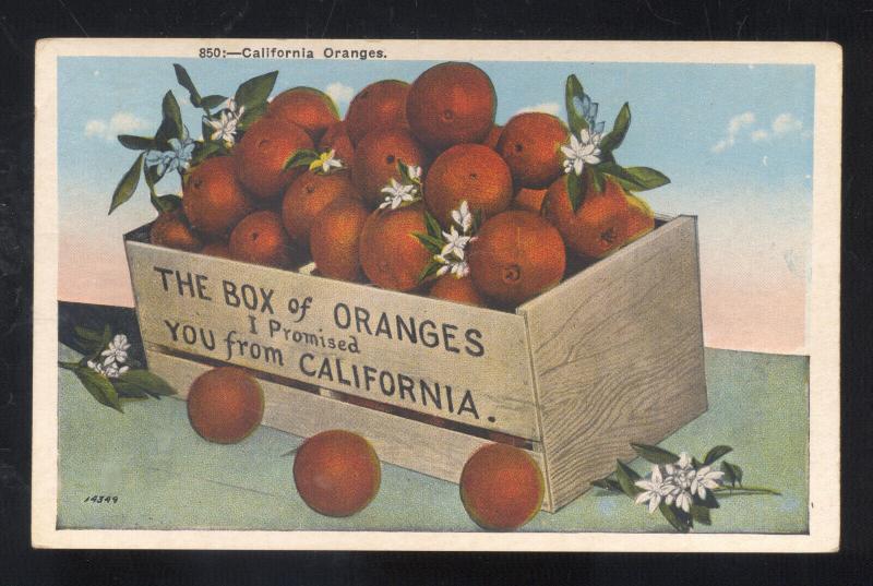 CALIFORNIA ORAGNES BOX OR ORANGES ORANGE VINTAGE ADVERTISING POSTCARD