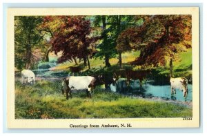 1911 Greetings from Amherst, Hillsborough County, New Hampshire NH Postcard 